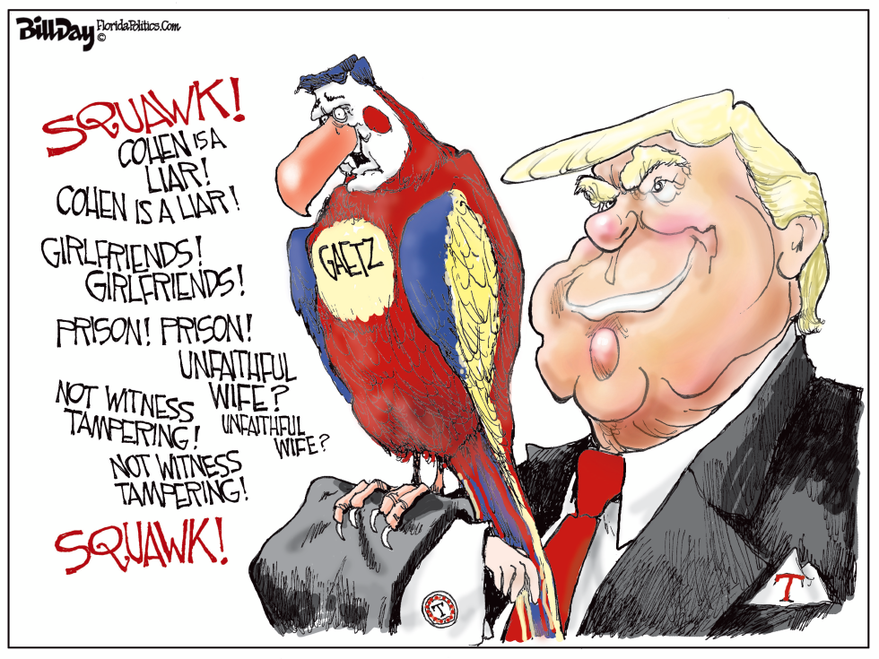 Matt Gaetz Gaffes