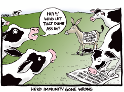 HERD IMMUNITY by Ingrid Rice