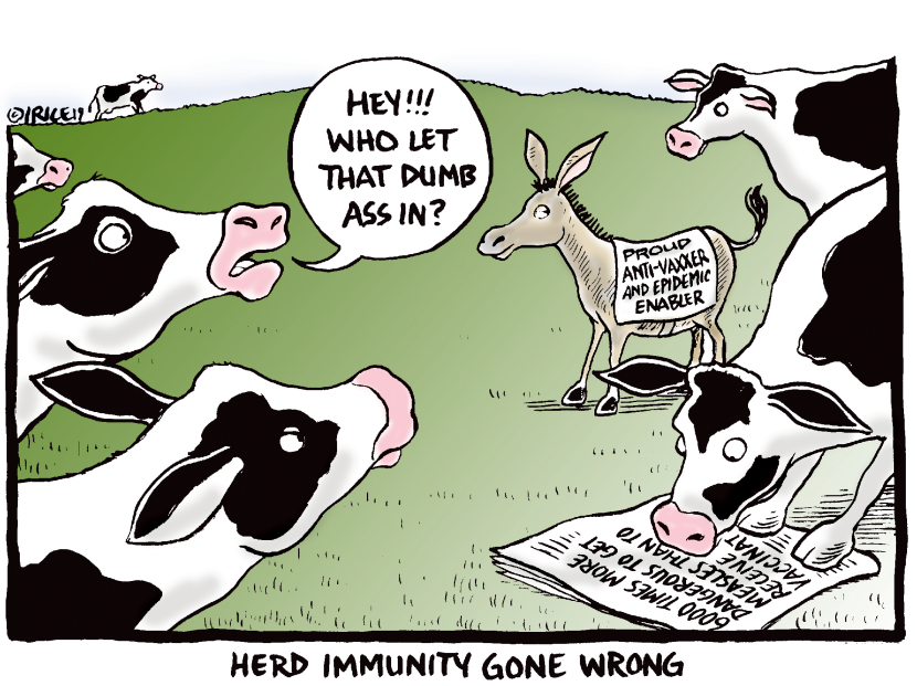 Herd Immunity
