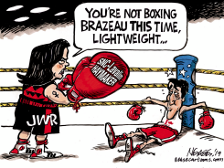 HAYMAKER by Steve Nease