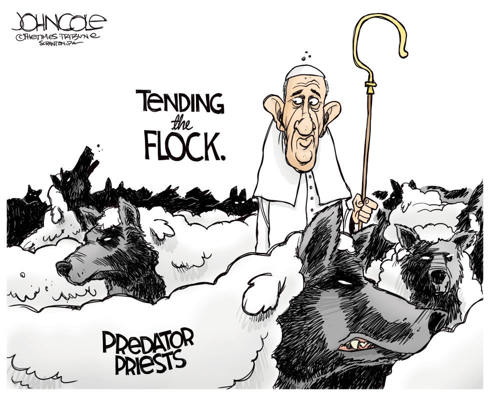  FRANCIS TENDS THE FLOCK by John Cole