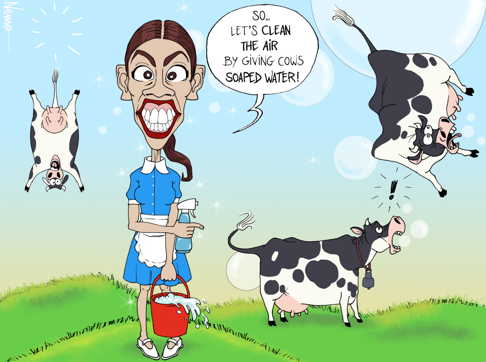 AOC Clean Air