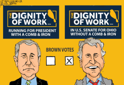 SHERROD BROWN NOT RUNNING IN 2020 by Jeff Darcy