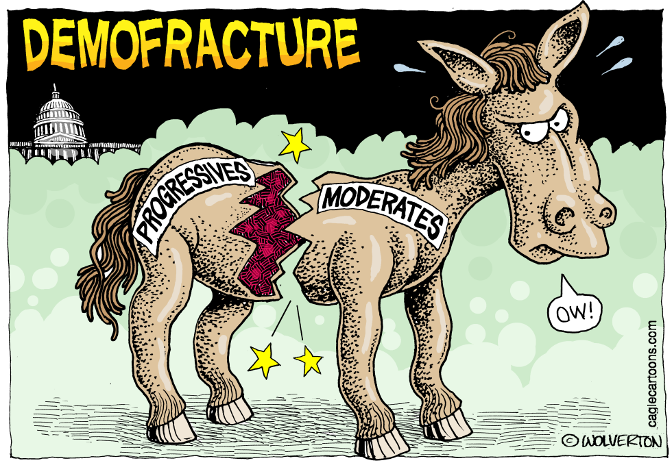 Fractured Democrats