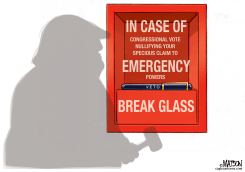 TRUMP EMERGENCY VETO by R.J. Matson