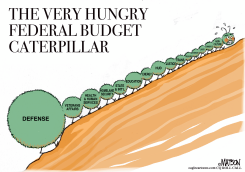 FEDERAL BUDGET CATERPILLAR by R.J. Matson
