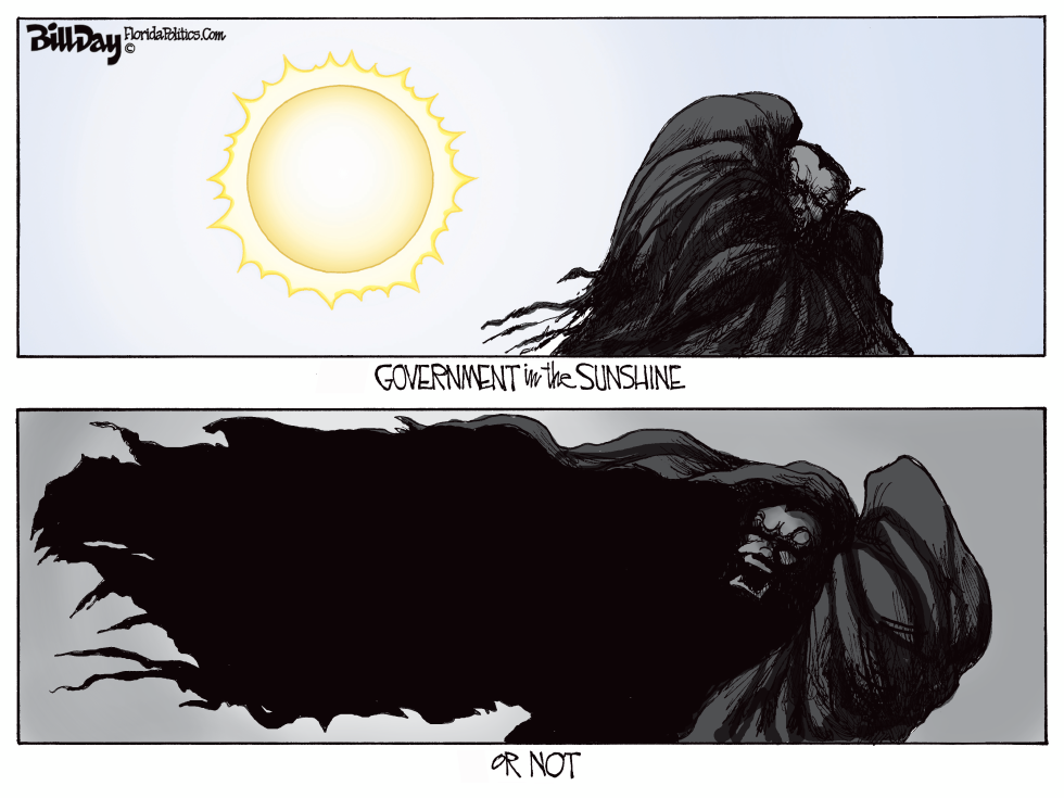Government in the Sunshine