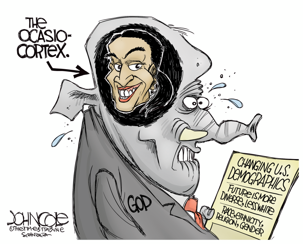The OcasioCortex