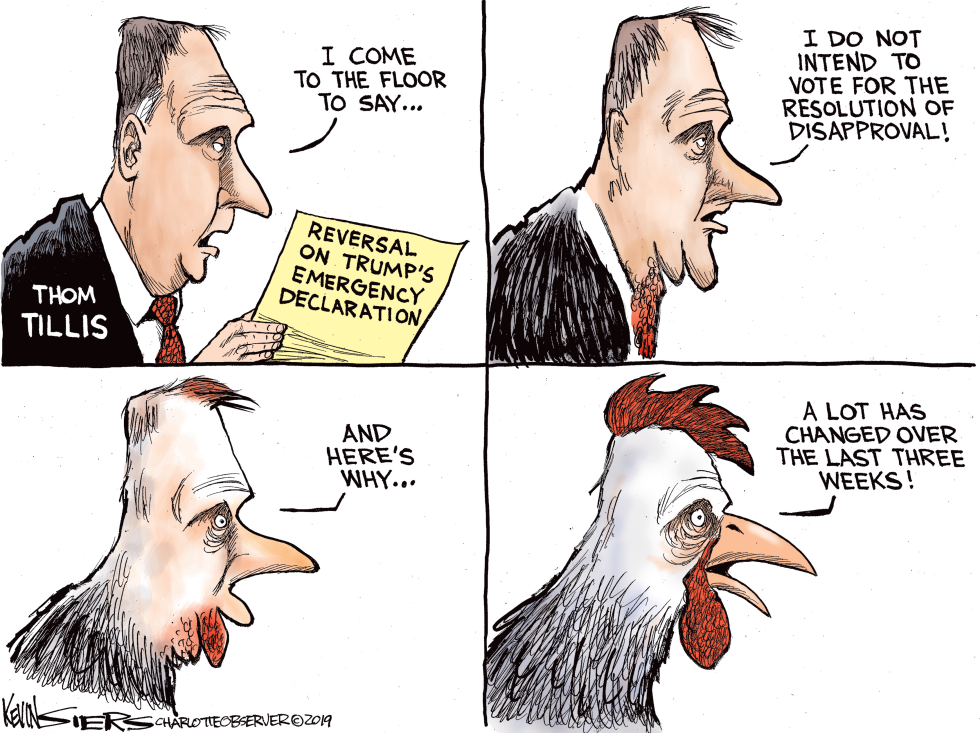 LOCAL NC Tillis' Emergency FlipFlop