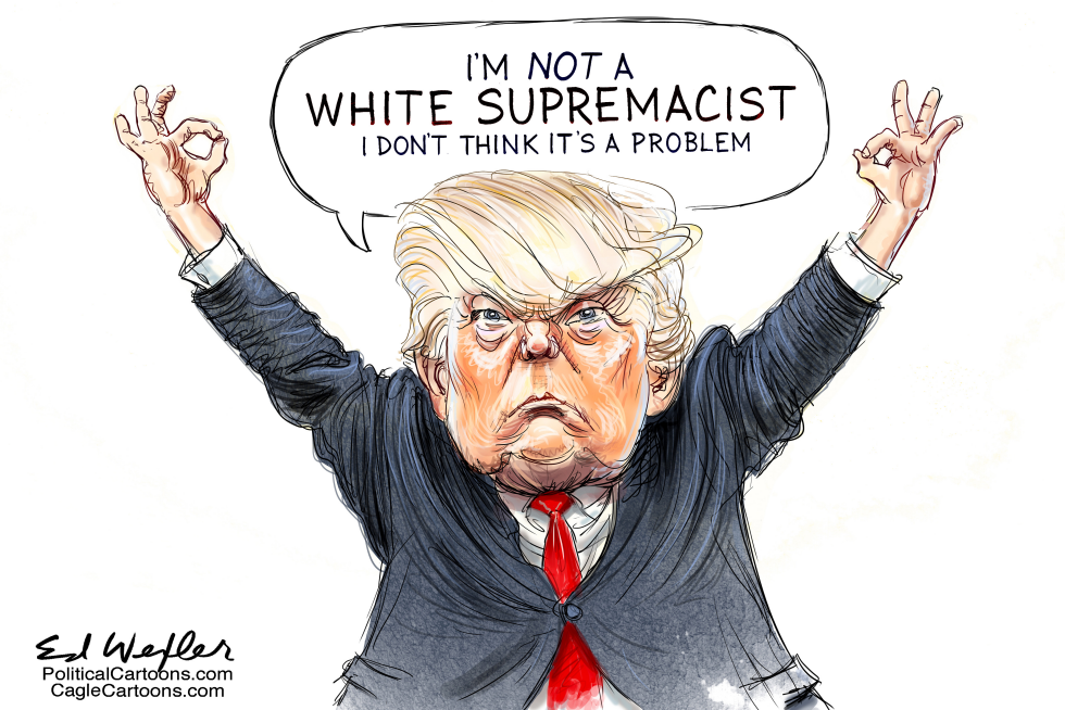  NOT A WHITE SUPREMACIST by Ed Wexler