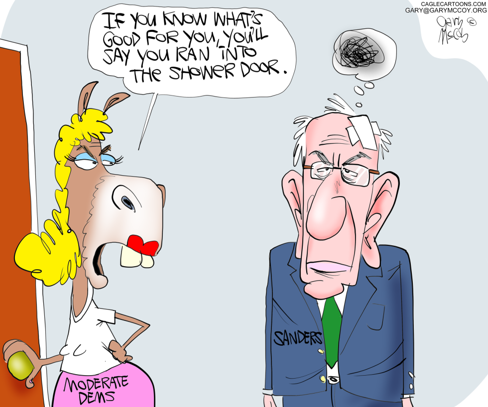 Dems Against Bernie