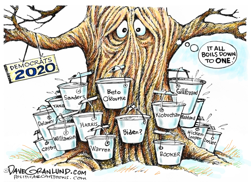  2020 DEMOCRATS RUNNING by Dave Granlund