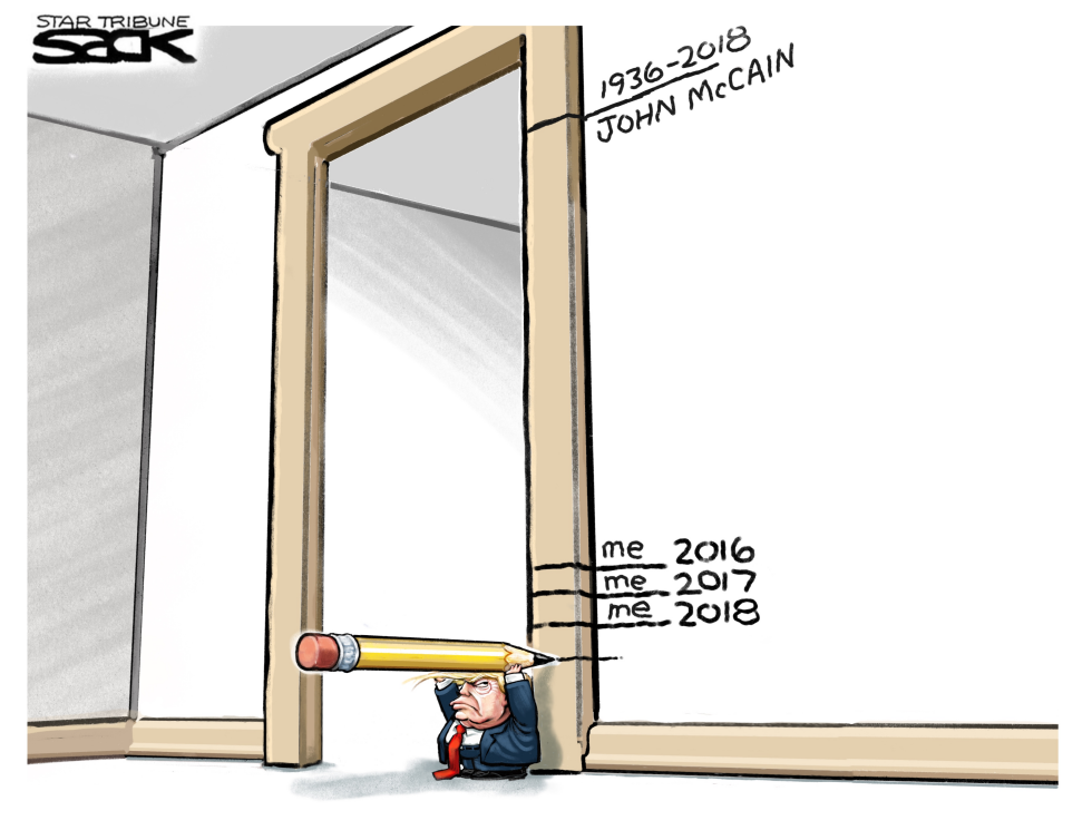 McCainTrump Measure