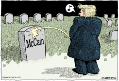 TRUMP ON MCCAIN by Monte Wolverton