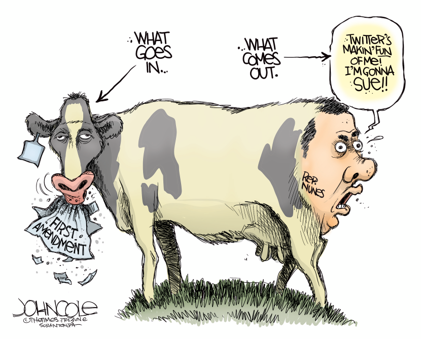 Devin Nunes Cow