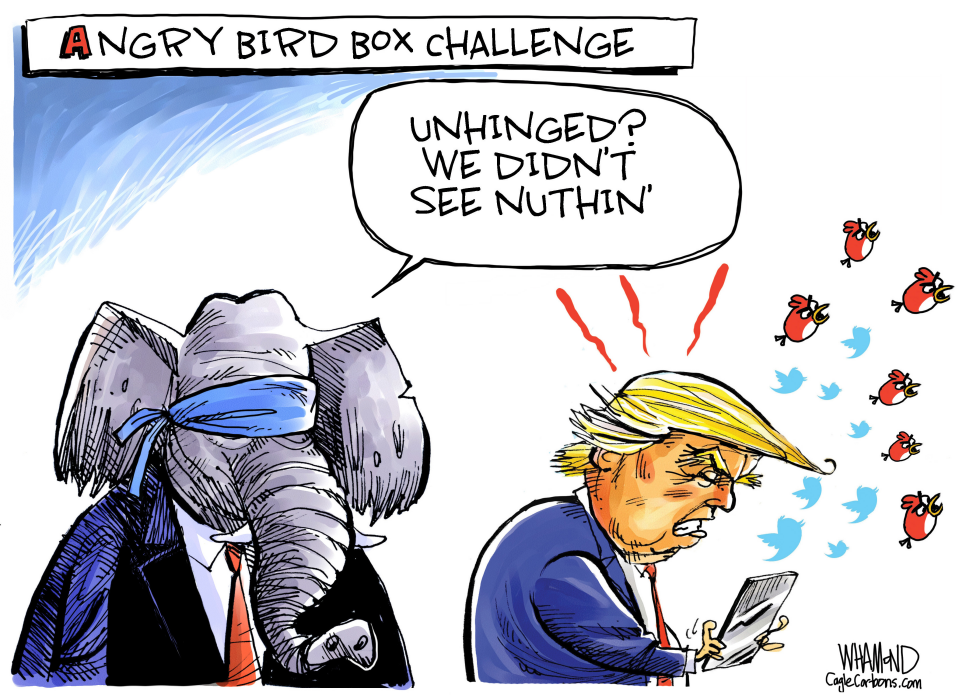  GOP BIRD BOX RESPONSE TO TRUMP'S RAGE TWEETS by Dave Whamond