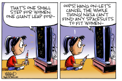 ONE SMALL STEP FOR WOMEN by Dave Whamond