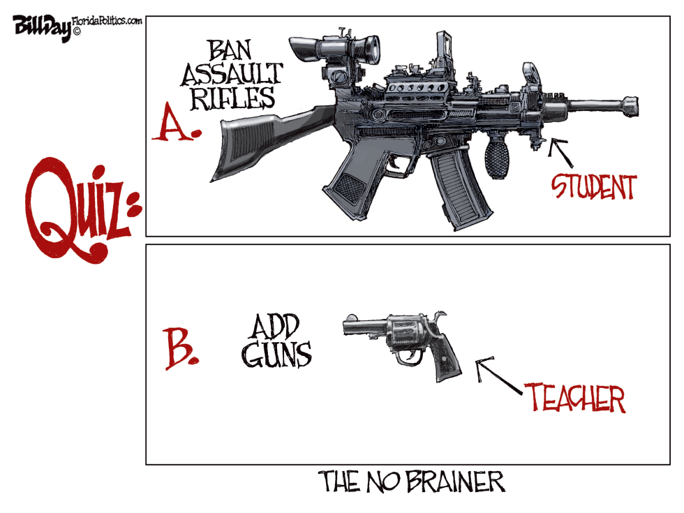 No Brainer Gun Quiz