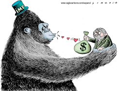 BRAZIL PRESIDENT LULA / by Osmani Simanca