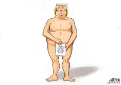 TRUMP FIG LEAF by R.J. Matson