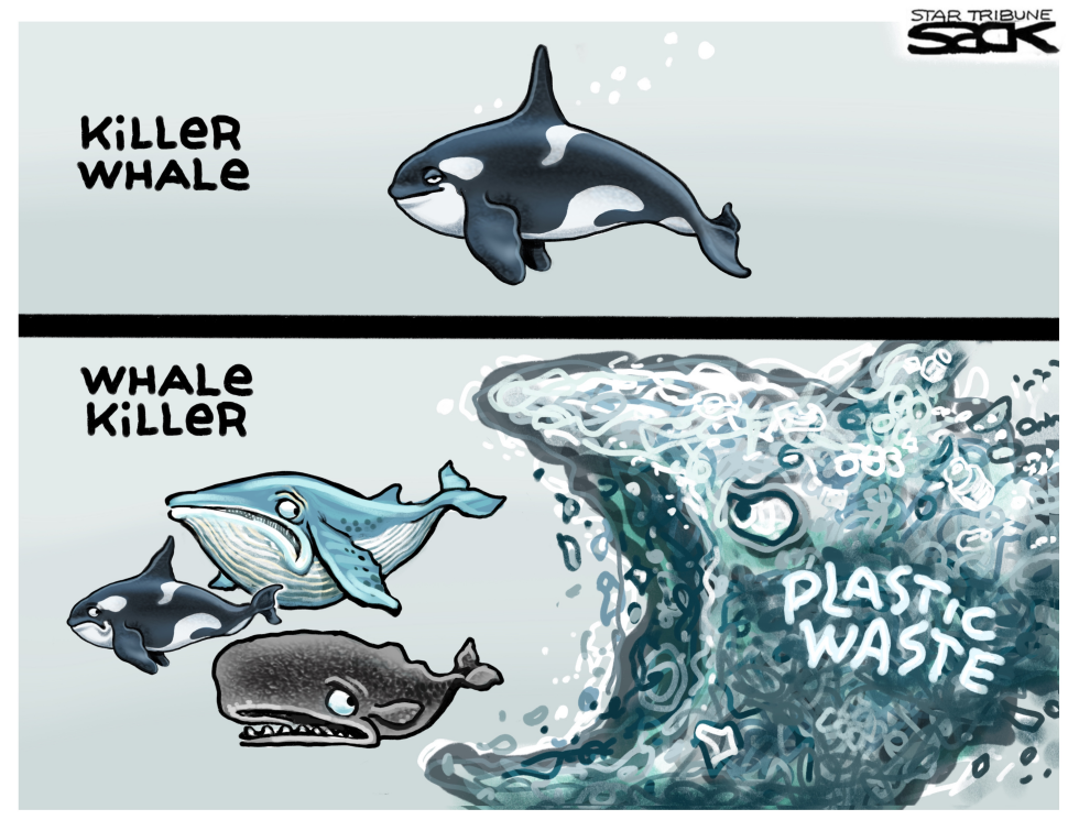 Whales vs Plastic
