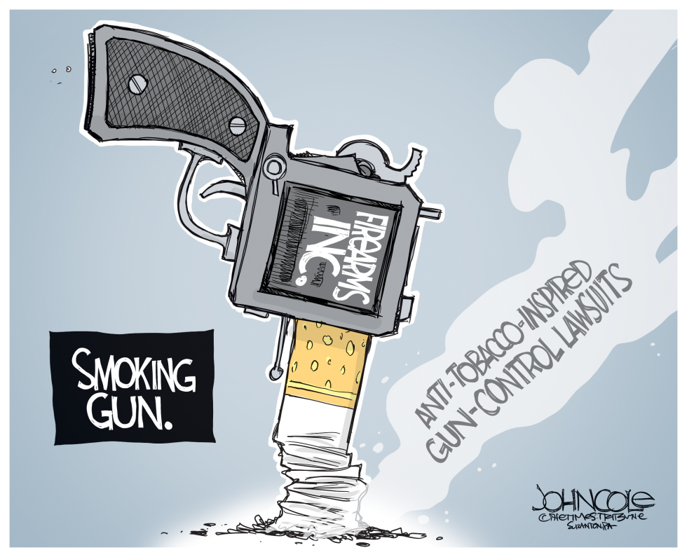  GUN CONTROL LAWSUITS by John Cole