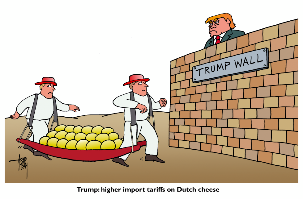Dutch cheese