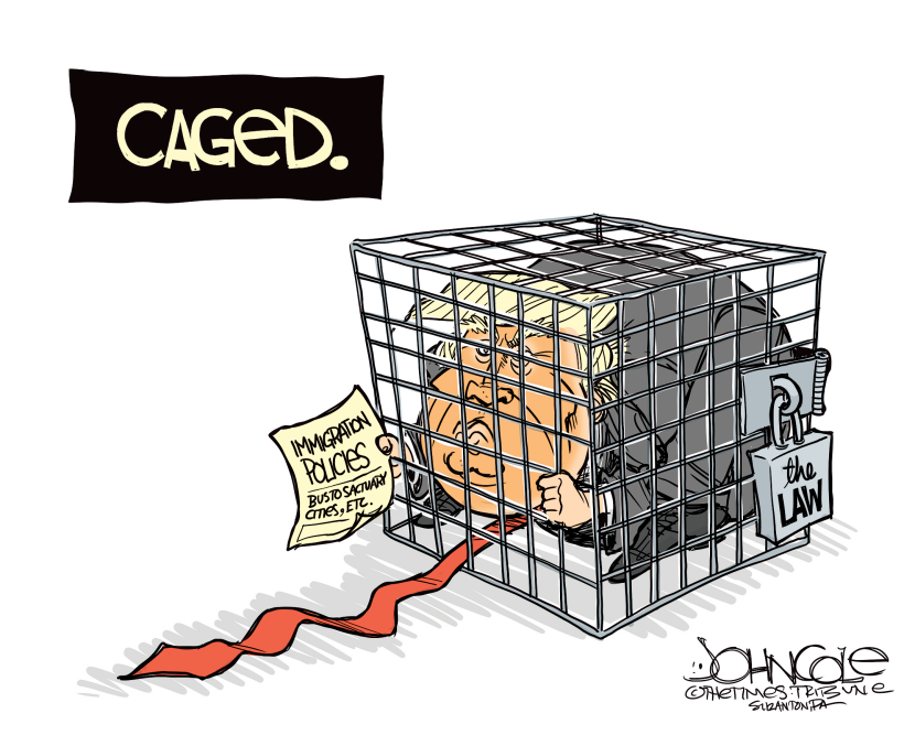 Trump caged