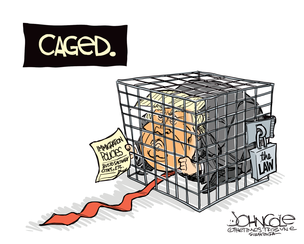 TRUMP CAGED by John Cole