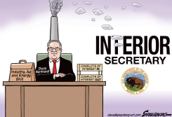 INFERIOR SECRETARY by Steve Greenberg
