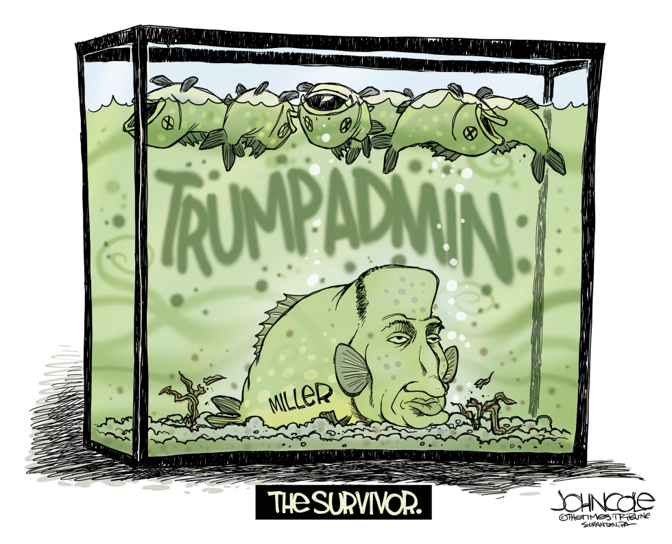 Stephen Miller