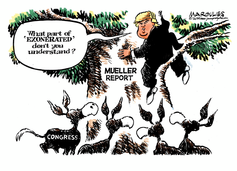 Mueller Report and Congress