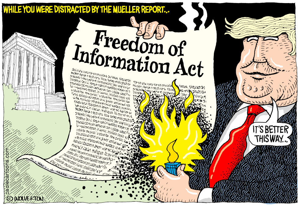 Trashing the Freedom of Information Act