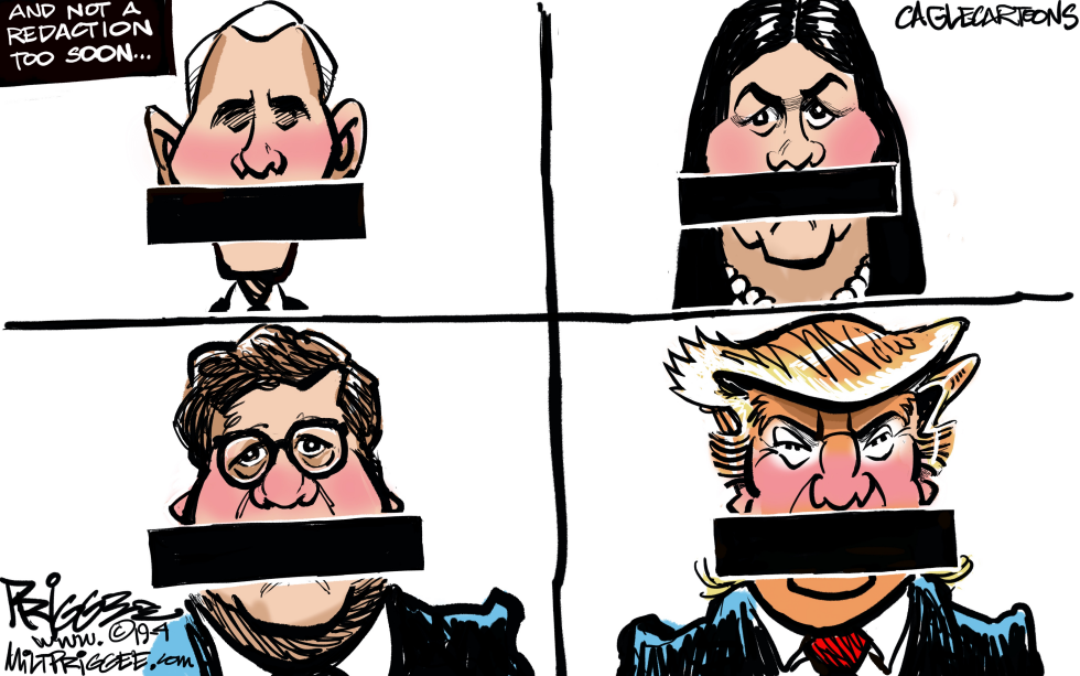 Redaction