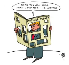 MUELLER REPORT by Arend Van Dam