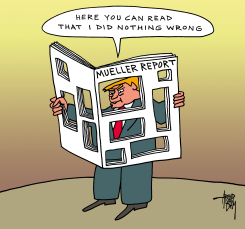 MUELLER REPORT by Arend Van Dam