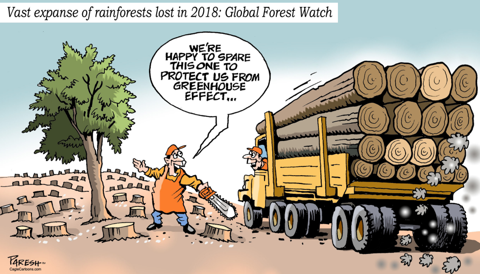  LOSS OF RAINFORESTS by Paresh Nath