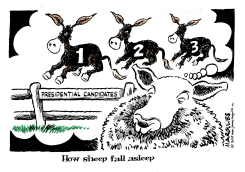 2020 DEMOCRATIC CANDIDATES by Jimmy Margulies