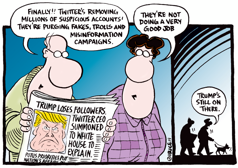 Twitters Removing Suspicious Accounts