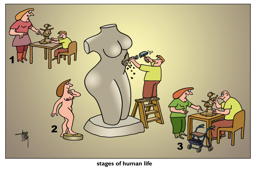 Human Life Cycle