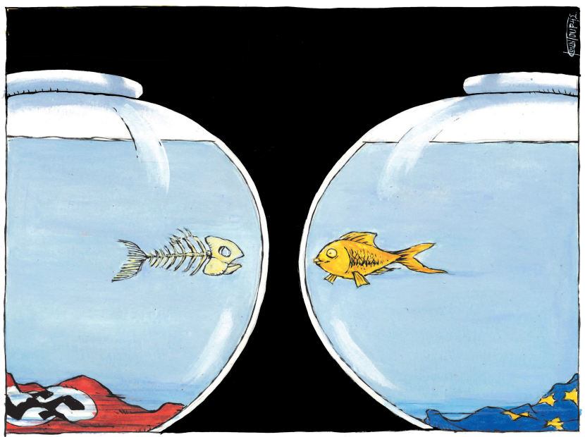 Gold Fish Memory