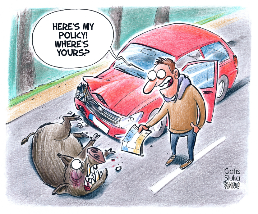 Car insurance
