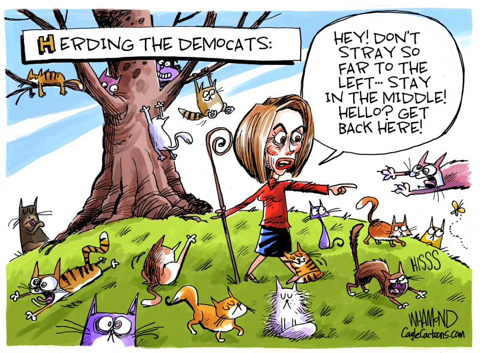  HERDING THE DEMOCATS by Dave Whamond