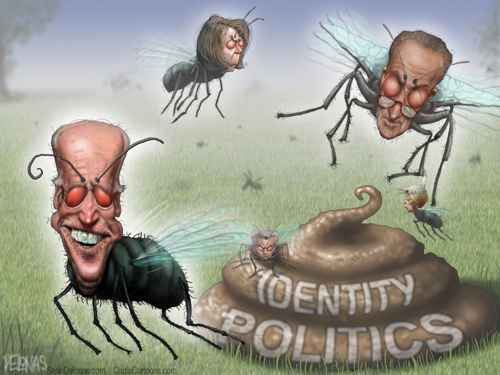 Flies Democrats