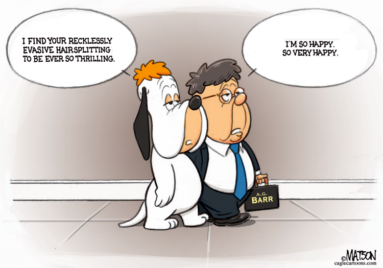Droopy Dog Barr