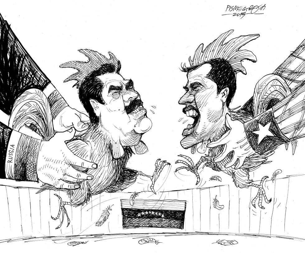 Cockfight