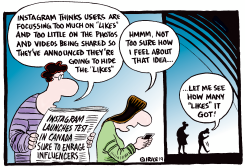 HIDING THE LIKES by Ingrid Rice