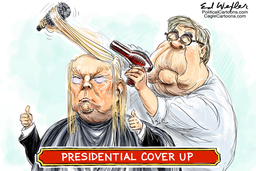  PRESIDENTIAL COVER UP by Ed Wexler