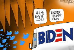 TRUMP TWITTER BIDEN BINGE by Jeff Darcy