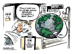 UN REPORT ON BIODIVERSITY by Jimmy Margulies